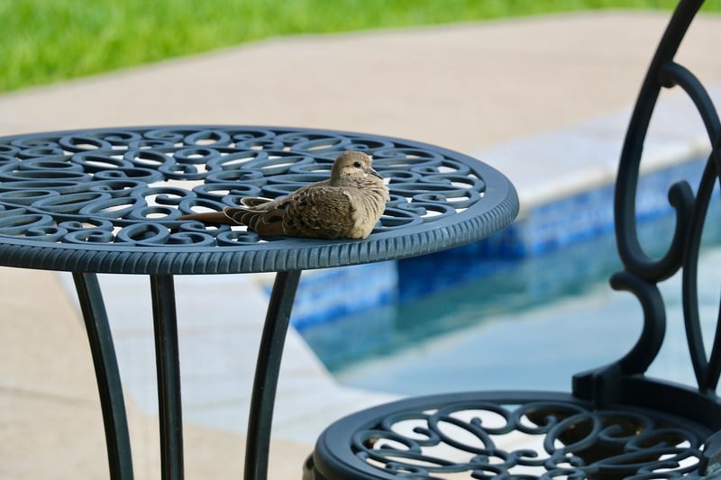 Patio Retreats